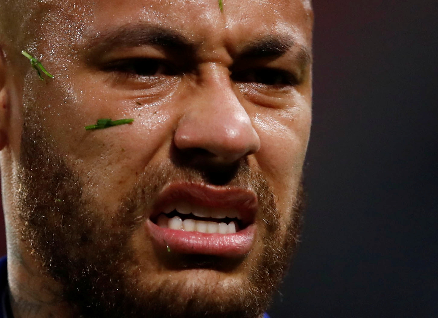 创新食谱绘美味健康画卷，圣禾载誉而归续写学生餐暖心新篇章